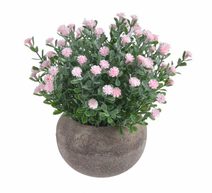 Květinky v květináči - světle růžová