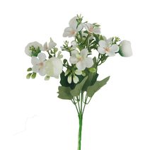 Pryskyřník X6953-01