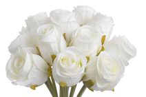 Umělá astra žíhaná meruňková/červená