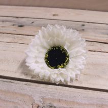 Květ astra krémová, 10 kusů 371176-01