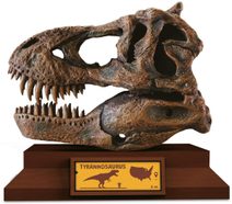 ALBI Kouzelné čtení Kniha interaktivní učebnice Matematika hravě