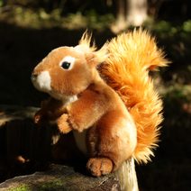 Plyšový koloušek 23 cm