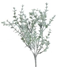 Eukalyptus trs 5 větviček - zelenošedá