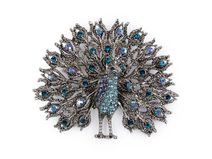 Brož s broušenými kamínky páv