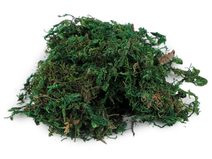 Dekorační mech 25 g