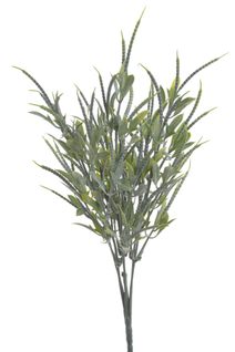 Trs lístků s mini lusky - zelená