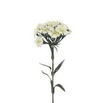 Hvozdík X6858-26 - 55 cm