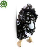 PLYŠ Morče 15cm 2 barvy