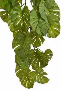 Převis monstera 95 cm - zelená