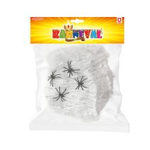 Pavoučí síť s pavouky