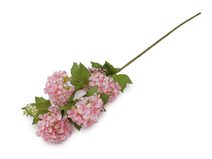 Umělá kytice kalina