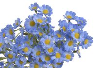 Erica převislá 78 cm – trs 5 větviček zelená