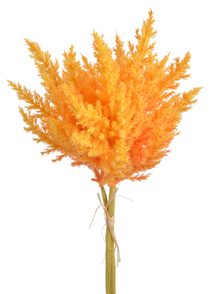 Čechrava 38 cm - žloutková