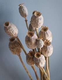 Skříňka šperkovnice Princess dřevo hrající květina zásuvka