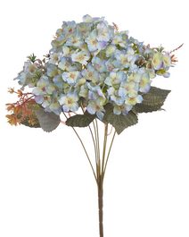 Hortenzie - trs, modrá