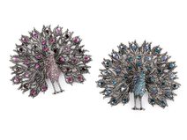 Brož s broušenými kamínky páv