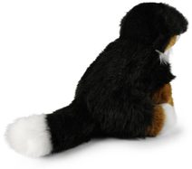 Kovová lucerna K4576/B - 21.5 × 21.5 × 47.5 cm