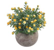 Květinky v květináči - žlutá