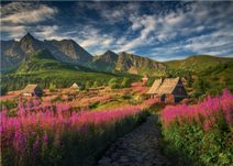 DINO Hra desková Lilo a Stitch