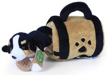 Pejsek chodící hnědý