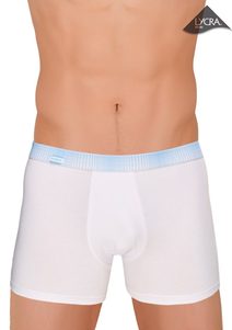 Pánské boxerky BX 00501 grey