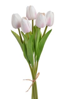 Tulipán pěnový (5 ks) - bílá/růžová 30 cm