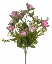 Trs kamélií - růžová