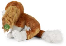 PLYŠ Pes kavalír King Charles španěl 28cm sedící Eco-Friendly *PLYŠOVÉ HRAČKY*