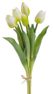 Svazek tulipánů (5 ks) - bílozelená