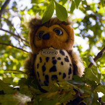 Plyšový koloušek 23 cm