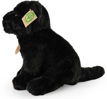 ADC Hra Výbušný holub rodinná *SPOLEČENSKÉ HRY*