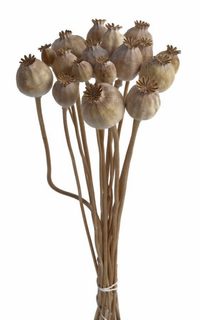 Sušená makovice 100g - natural