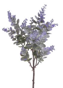 Eukalyptus 45 cm - zelená - fialová