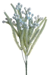 Brunia - trs - modrošedá