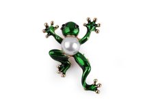 Brož žába, chameleon