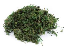 Dekorační přírodní mech 250 g