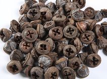 Plody eukalyptu 200 g - natural