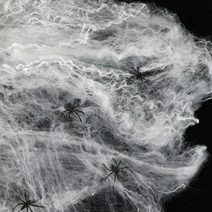 Pavoučí síť s pavouky