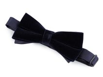 Sametový motýlek v krabičce