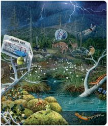 ALBI HRA Vrhcáby magnetické na cesty