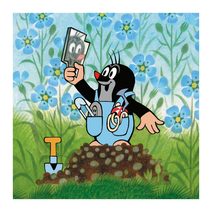 Obal kovový K2599/2 - dia 22 x 10,6 cm