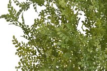 Umělá drobnolistá rostlina zelený trs