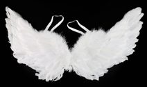 KARNEVAL Křídla andělská s peřím 50cm *KARNEVALOVÝ DOPLNĚK*