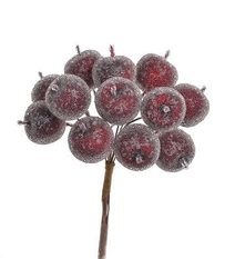 Jablíčka cukr na drátku 12 ks - tm. červená