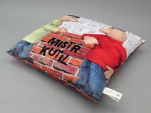 MORAVSKÁ ÚSTŘEDNA Polštář Pat a Mat Žebřík 40x30cm A je to! PLYŠ