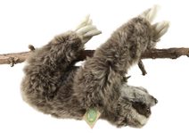 PLYŠ Ptakopysk 27cm *PLYŠOVÉ HRAČKY*