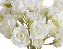 Růže velká - červená tmavší