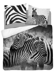 Francouzské povlečení Zebra Bavlna, 220/200, 2x70/80 cm