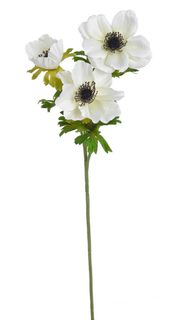 Sasanka 57 cm - bílá