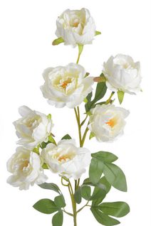 Umělá girlanda ruscus 240 cm - zelená/bílá